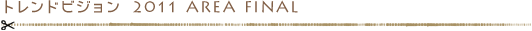 トレンドビジョン 2011 AREA FINAL